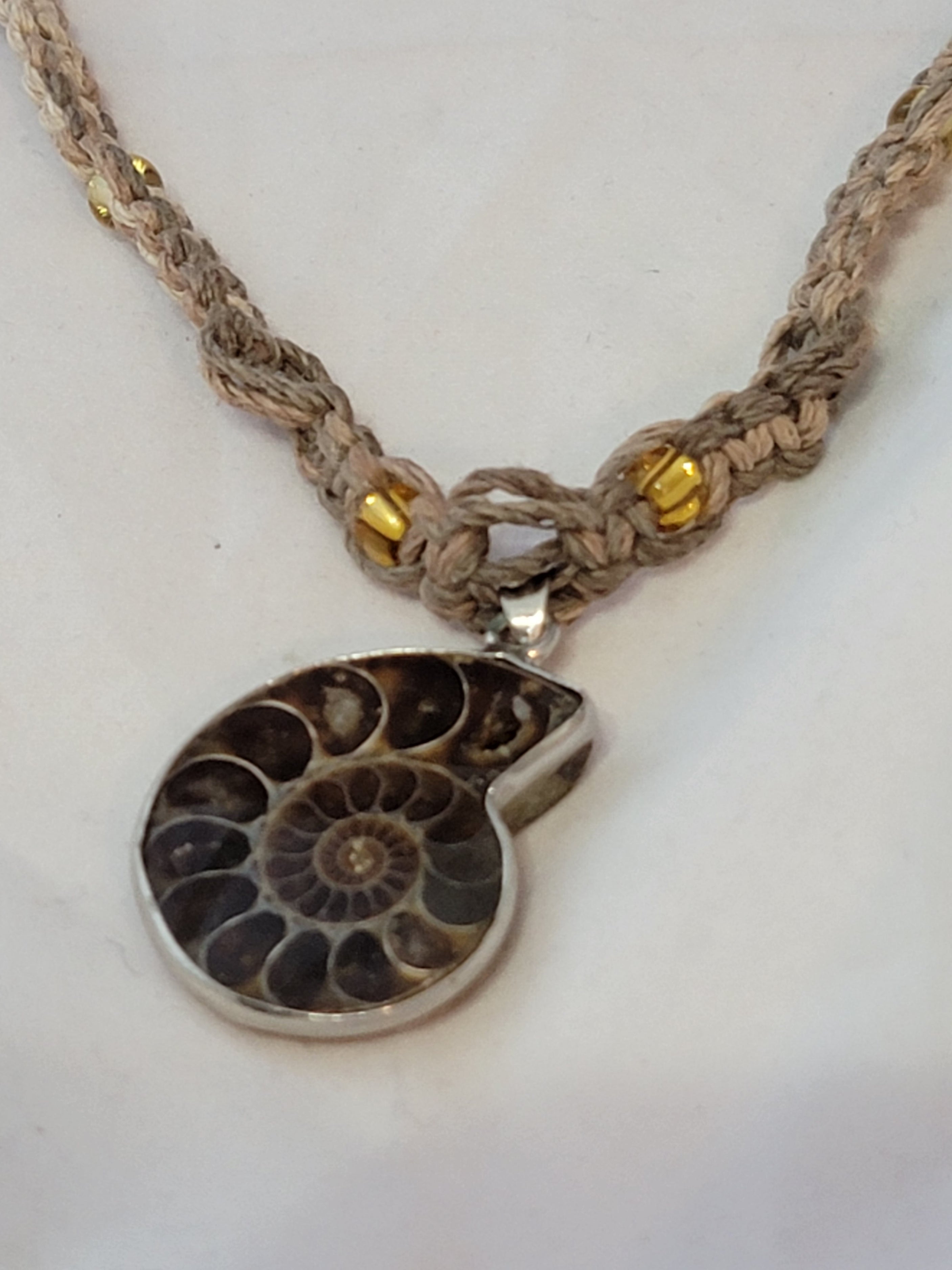 Ammonite Necklace