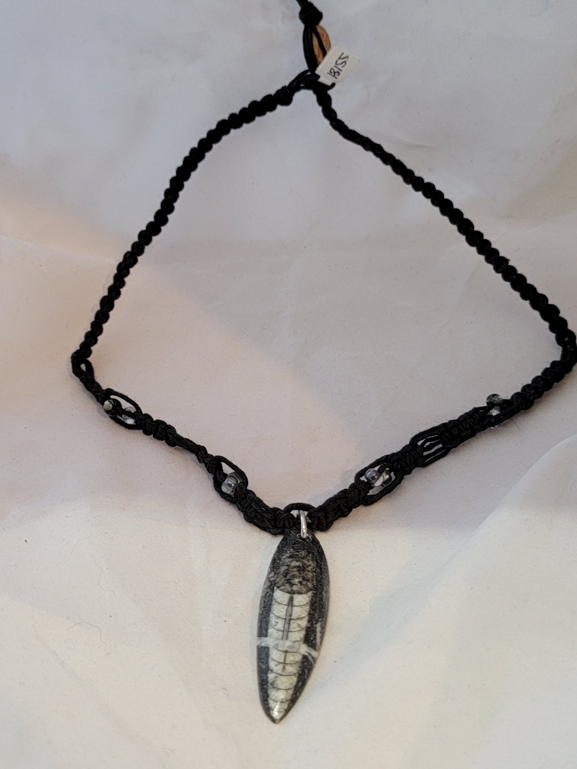 Orthoceros Necklace