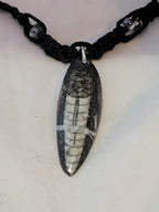 Orthoceros Necklace