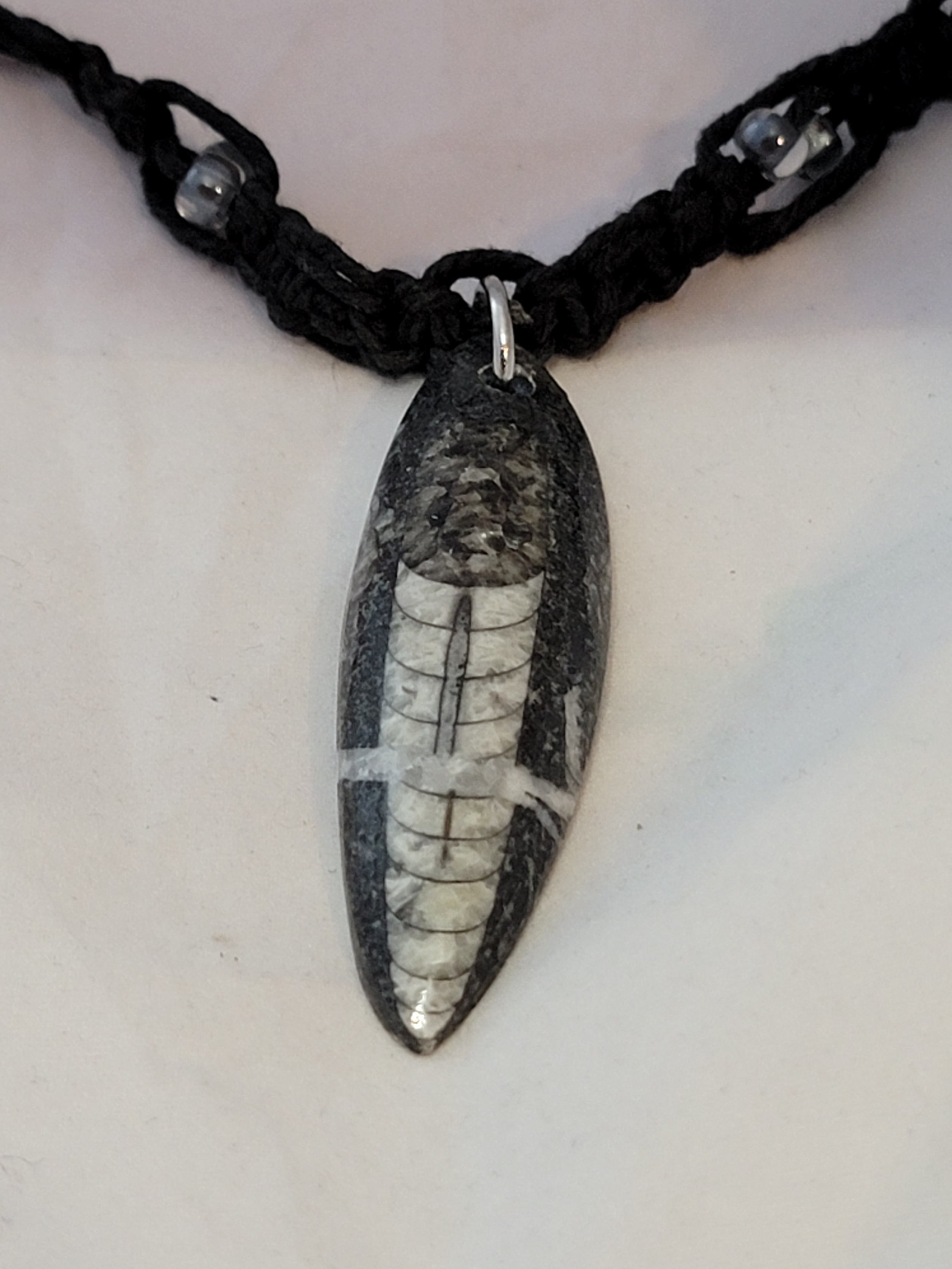 Orthoceros Necklace